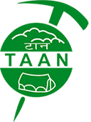 TAAN