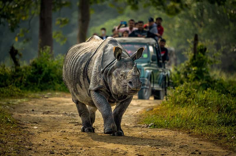 Chitwan, Nepal